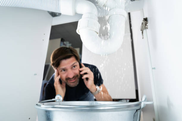 Best Gas Line Repair  in Citrus Park, FL