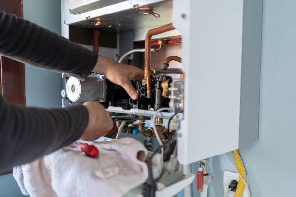 Best Local Plumber Services  in Citrus Park, FL
