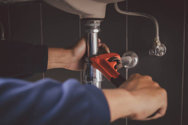 Best Clogged Drain Plumber  in Citrus Park, FL