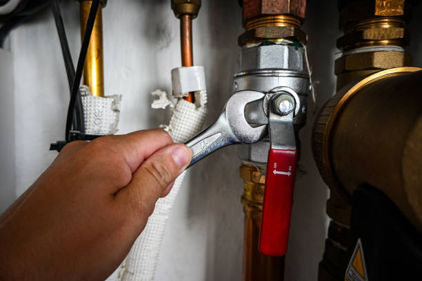 Best Commercial Plumbing Services  in Citrus Park, FL